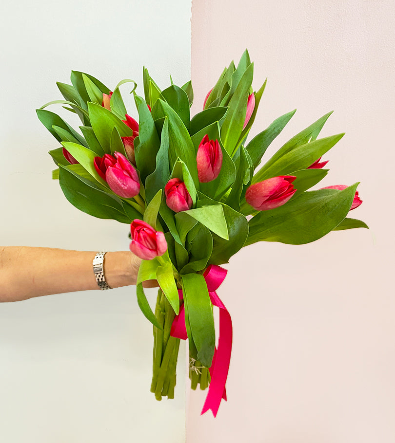 20 Red Tulips