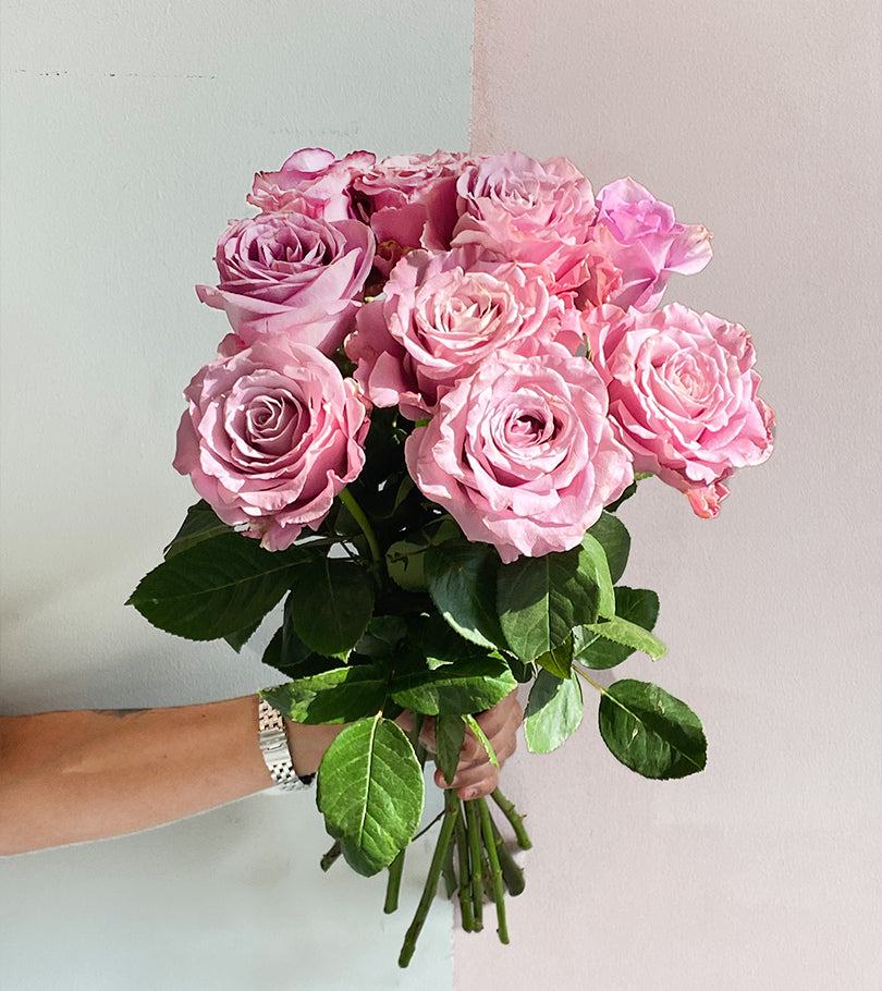 10 LIGHT PURPLE PREMIUM ROSES