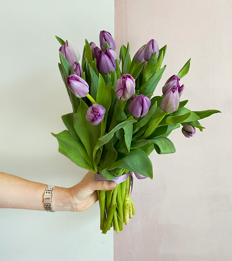 20 Lavender Tulips