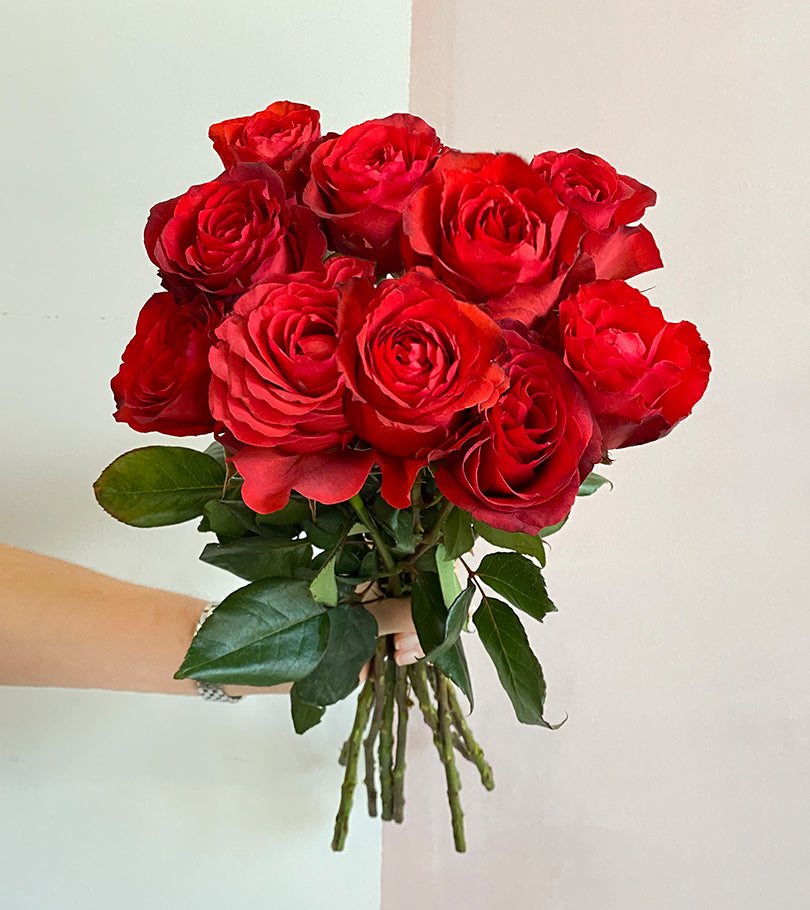 10 Red Premium Roses