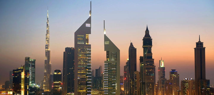 Why is Dubai a good place to do business | 800 Flower
