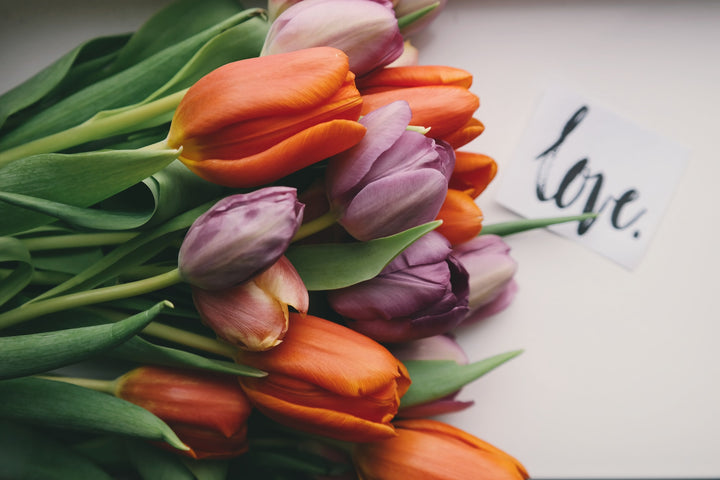 What is the meaning of different types of flowers | 800 Flower