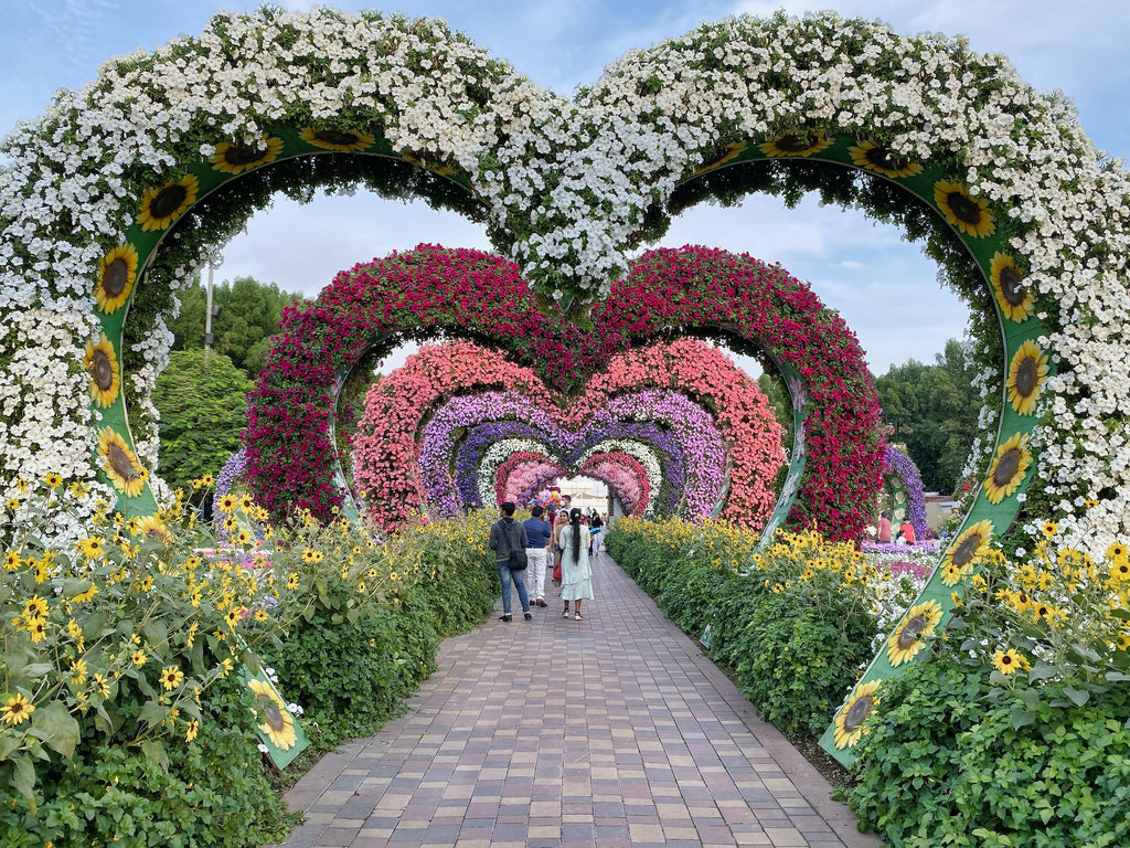 Guide to Dubai Miracle Garden: World's Largest Flower Garden