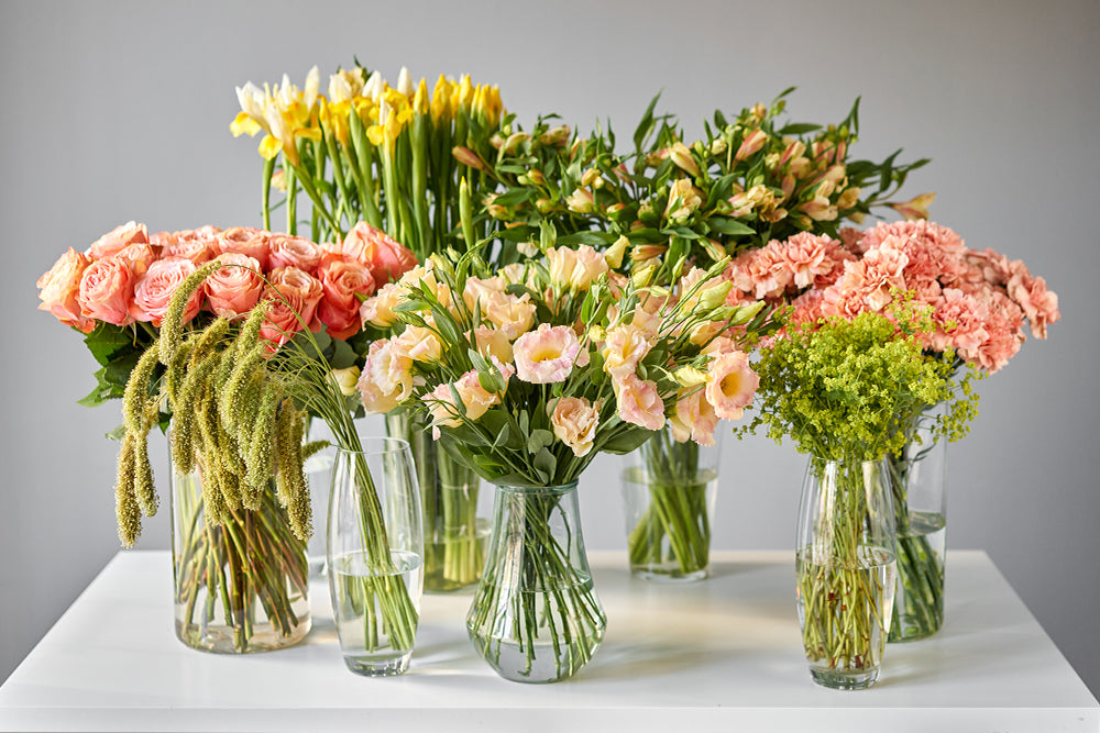 Blooms of Beauty: Exploring the Timeless Allure of Flowers