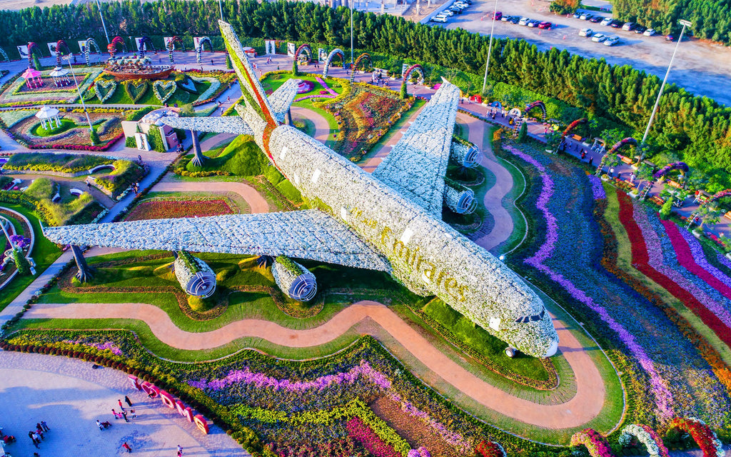 Why Should You Visit the Dubai Miracle Garden?