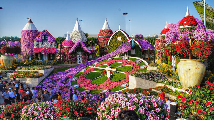 Choosing the Right Flowers for Dubai