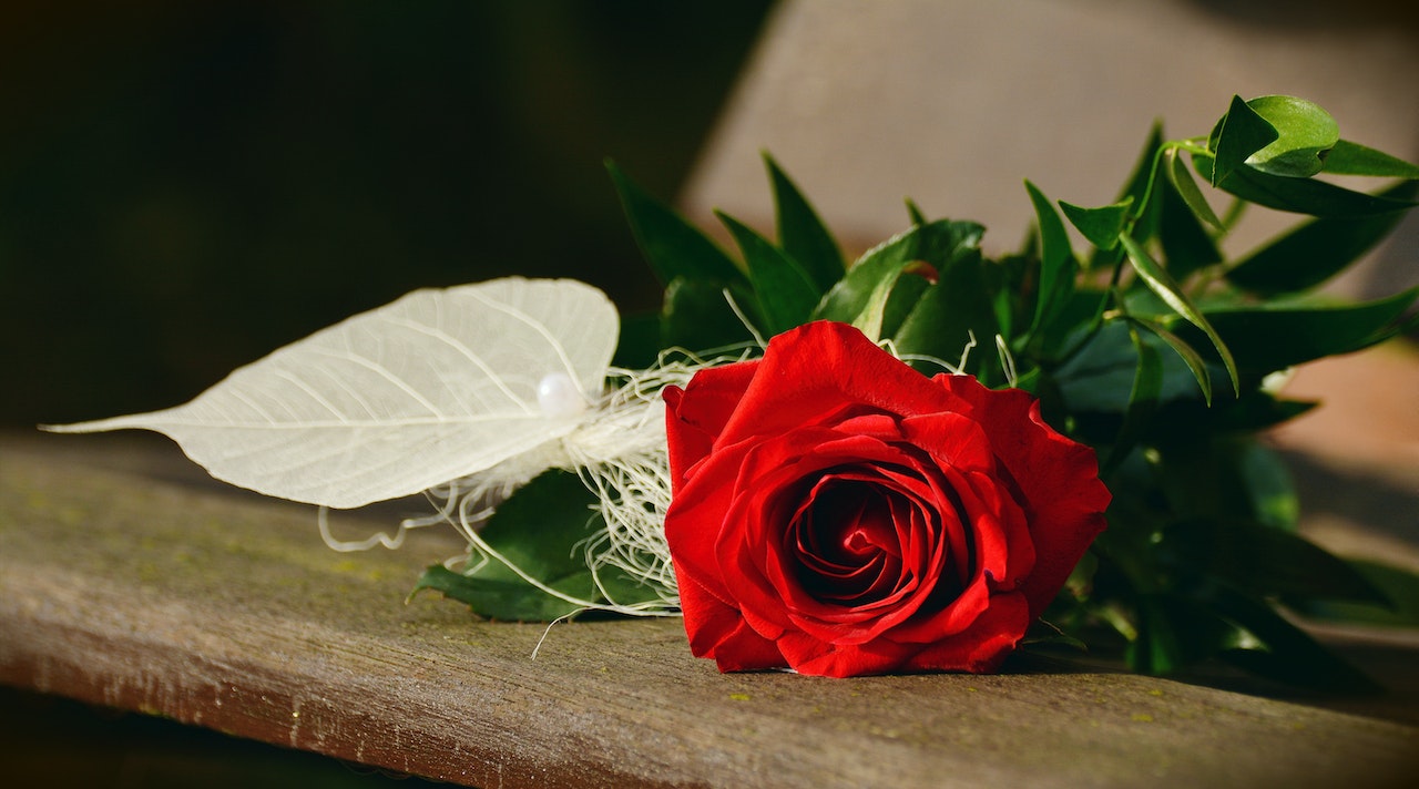 Everything You Need To Know About a Rose Flower Bouquet | 800 Flower Dubai