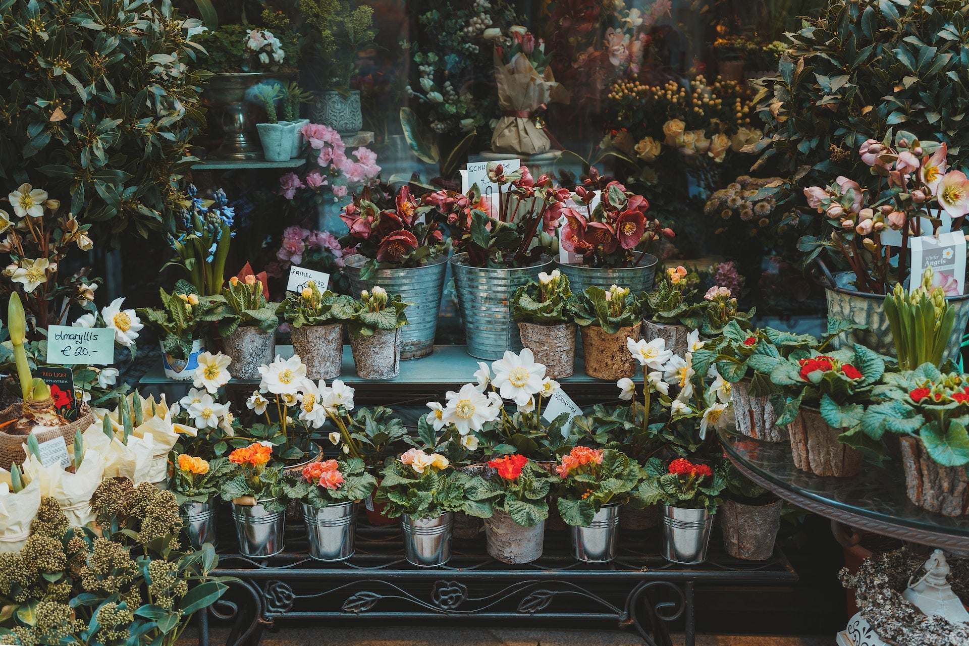 Find a Flower Shop Near Me: Your Local Blooms Await | 800 Flower