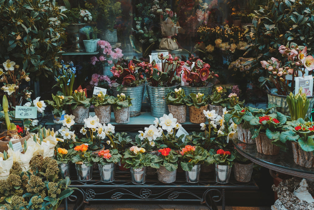 The Magic of Local Flower Shops