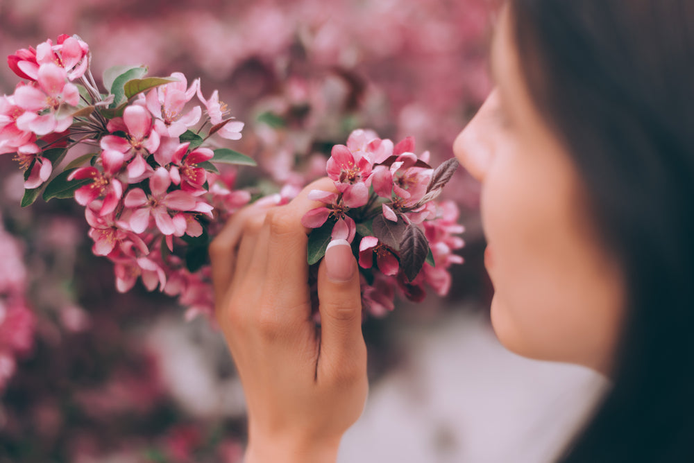 Have Allergies? Avoid these Flowers