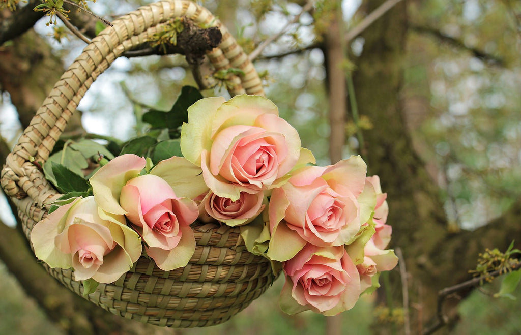 The Meaning Behind Valentine's Day Flower Bouquets
