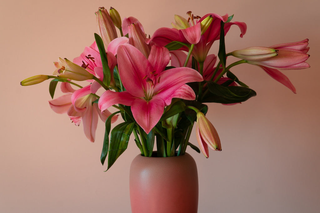 Conveniently Delivered Delights: Experience the Joy of Online Flower Delivery