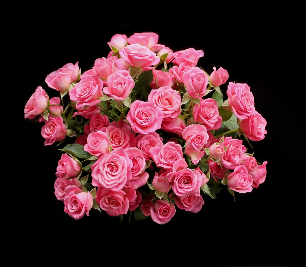 A Blossoming Affair: Unforgettable Valentine's Day Rose Bouquets