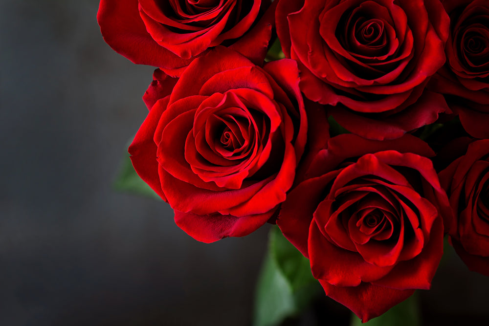 What Does The Number Of Roses Mean?