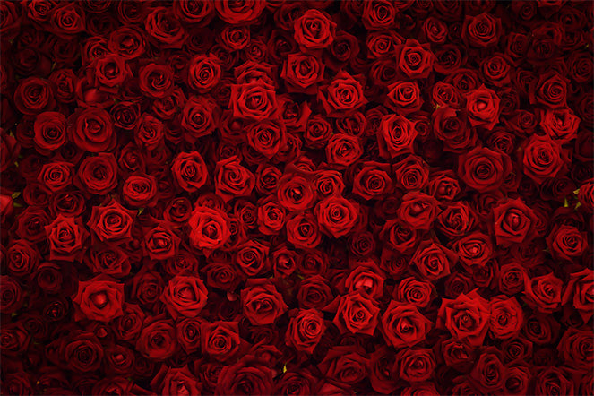 uregelmæssig reductor helt seriøst What are Some 'Roses Are Red, Violets Are Blue' Jokes?