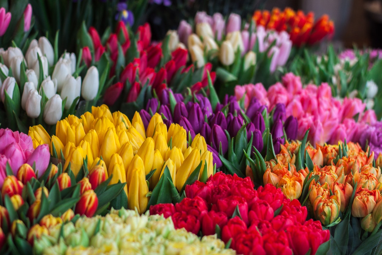 The best housewarming gift from flower shop Dubai - 800 Flower Dubai