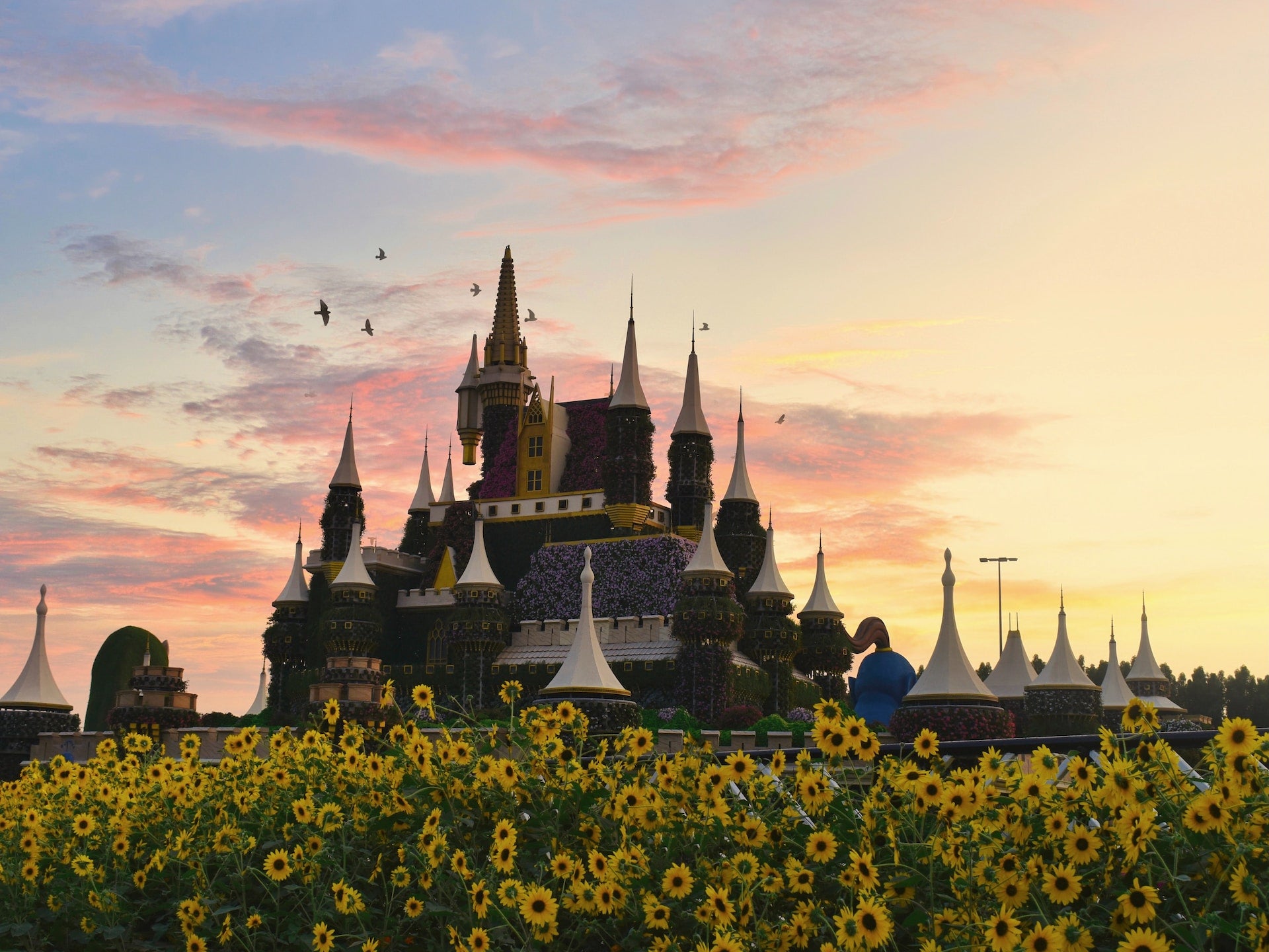 UAE Flower Paradise: Unveiling the Spectacular Floral Treasures | 800 Flower