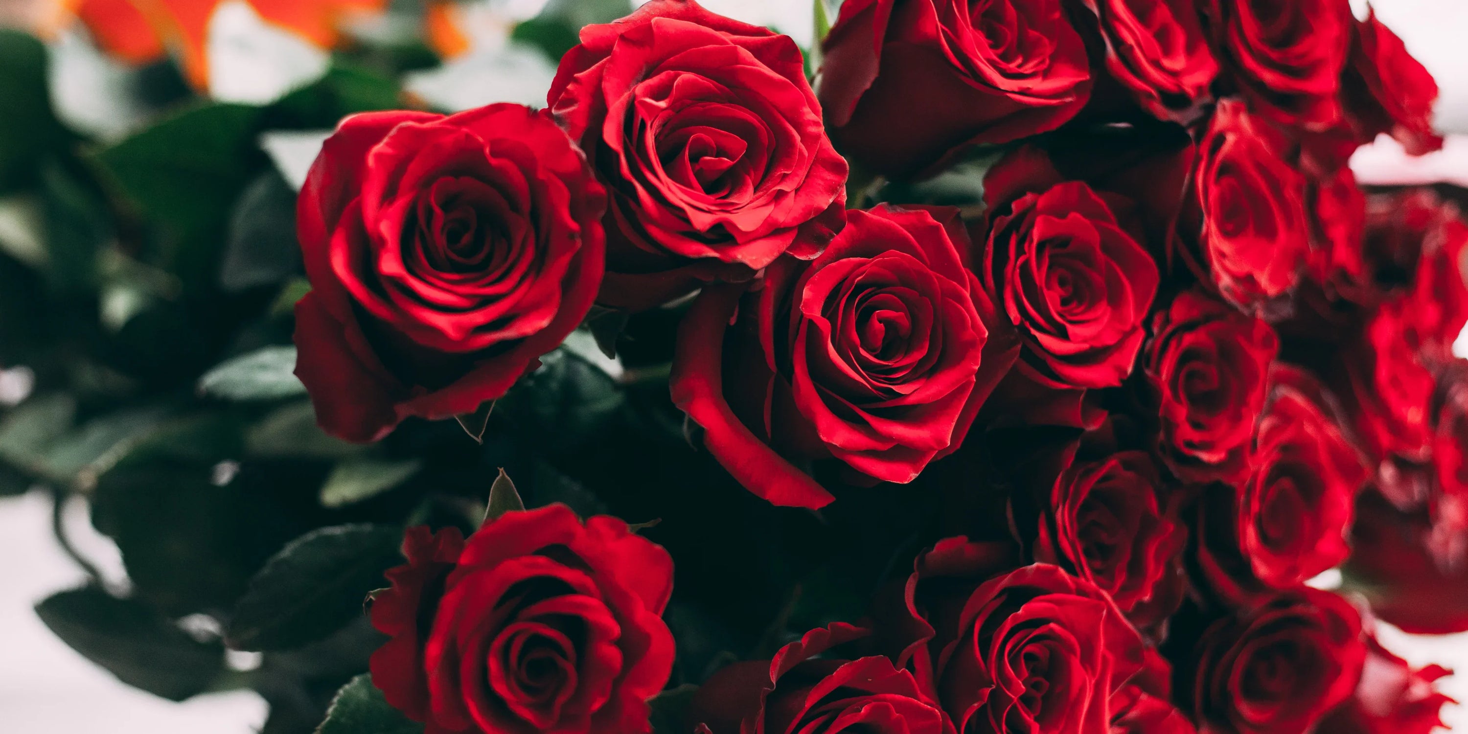 Valentine’s Flower Delivery in Dubai: Choosing the Perfect Bouquet