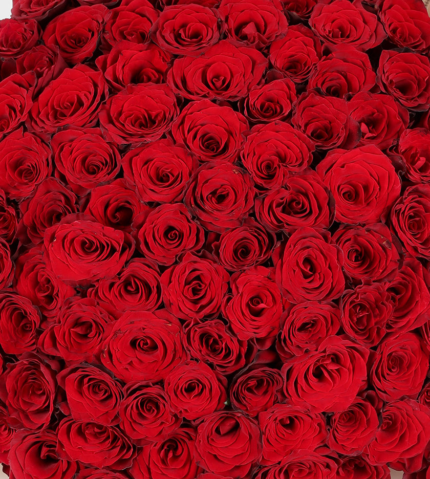 100 Red Roses Bouquet | 800 Flower | Flower Delivery Dubai