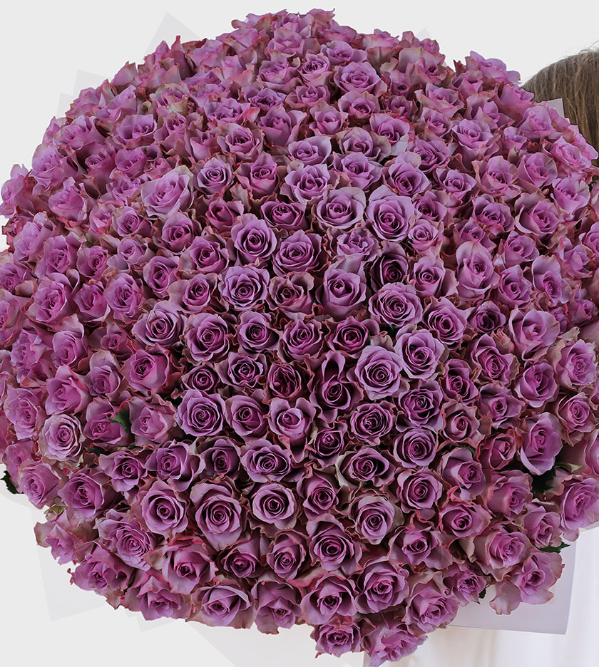 200 Purple Roses