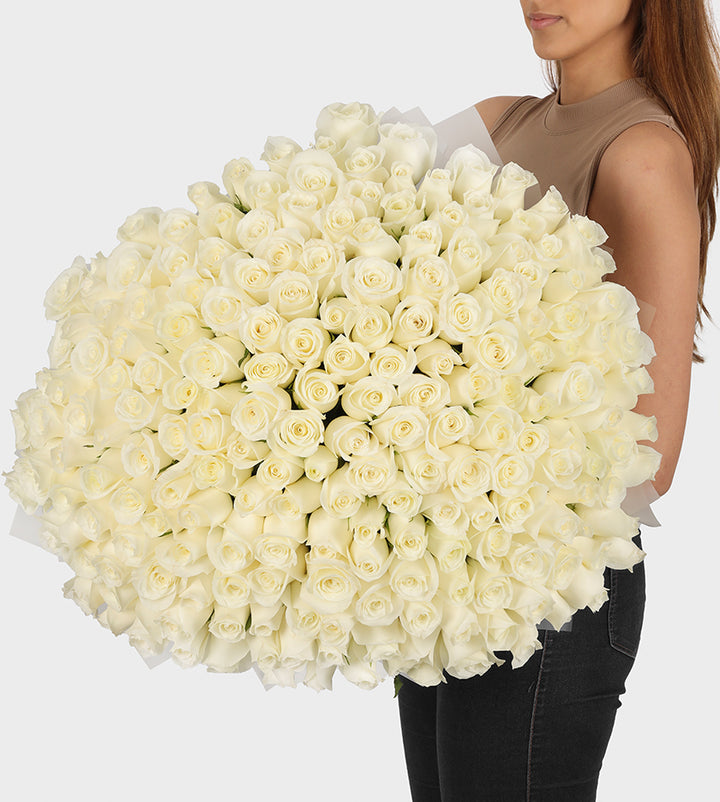200 White Roses