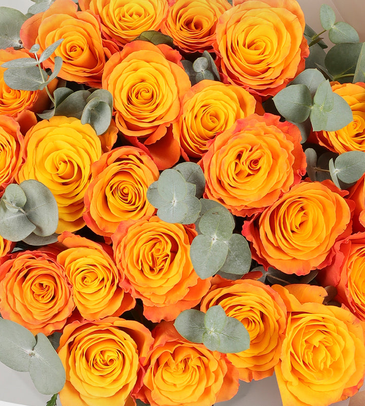 24 وردة برتقالية