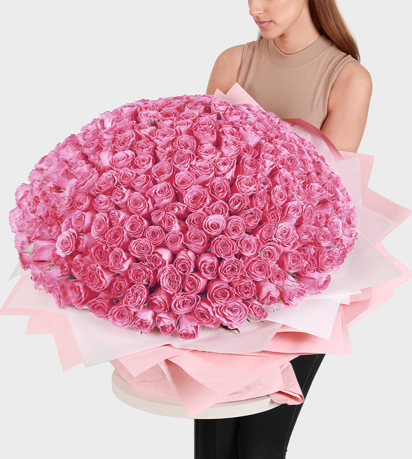 Luxurious bouquet of 300 pink roses – elegant floral gift for Valentine's Day expressing admiration and romance