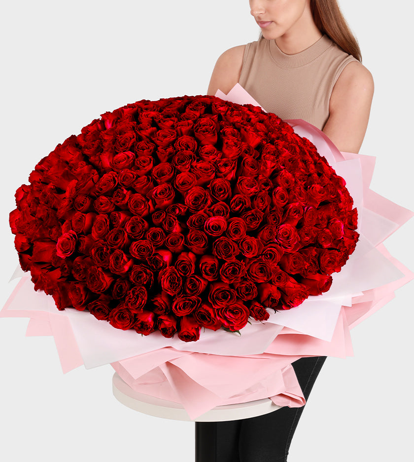 Embrace luxury with our 300 Red blooms of elegance, mystery, and admiration. A lavish statement for any occasion.