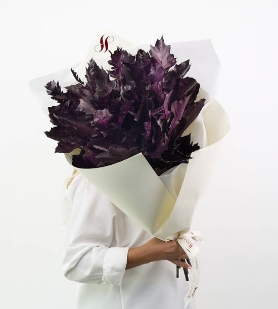 Velours Violet