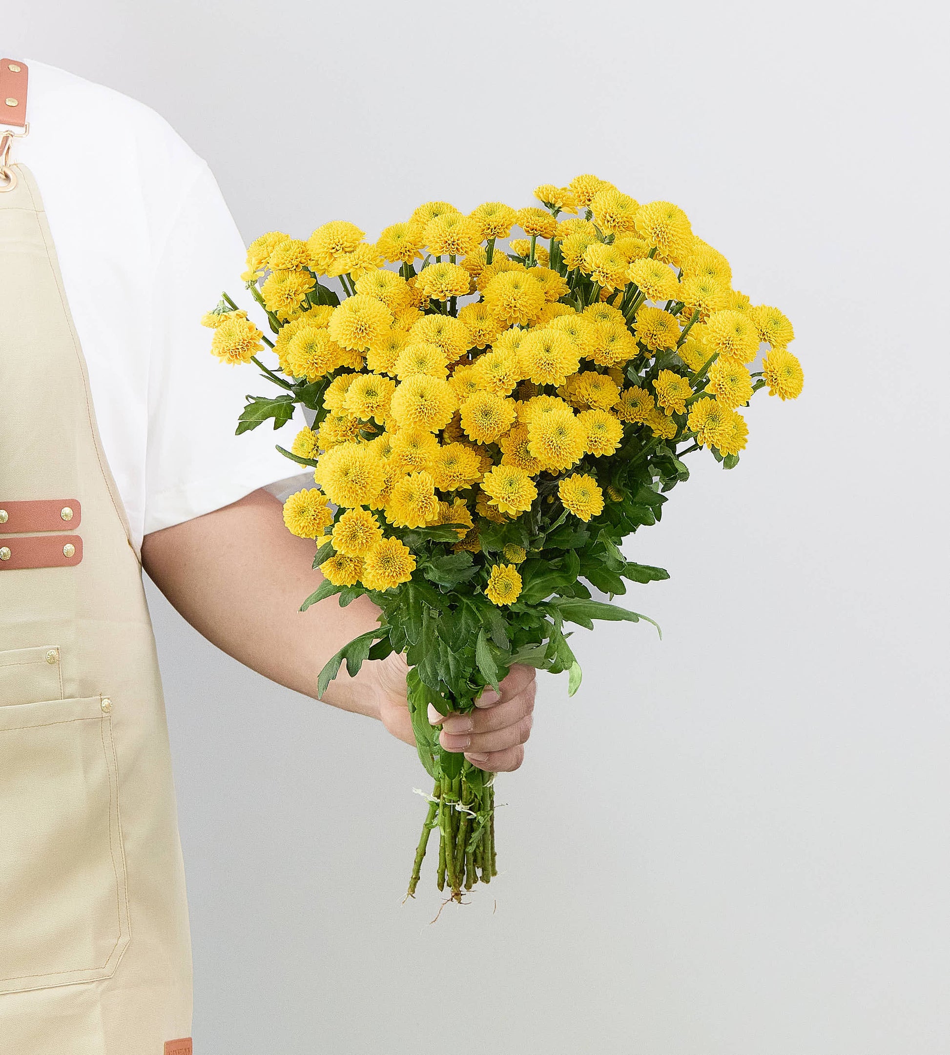 25 Stem Chrysanthemum  Aurinko Yellow