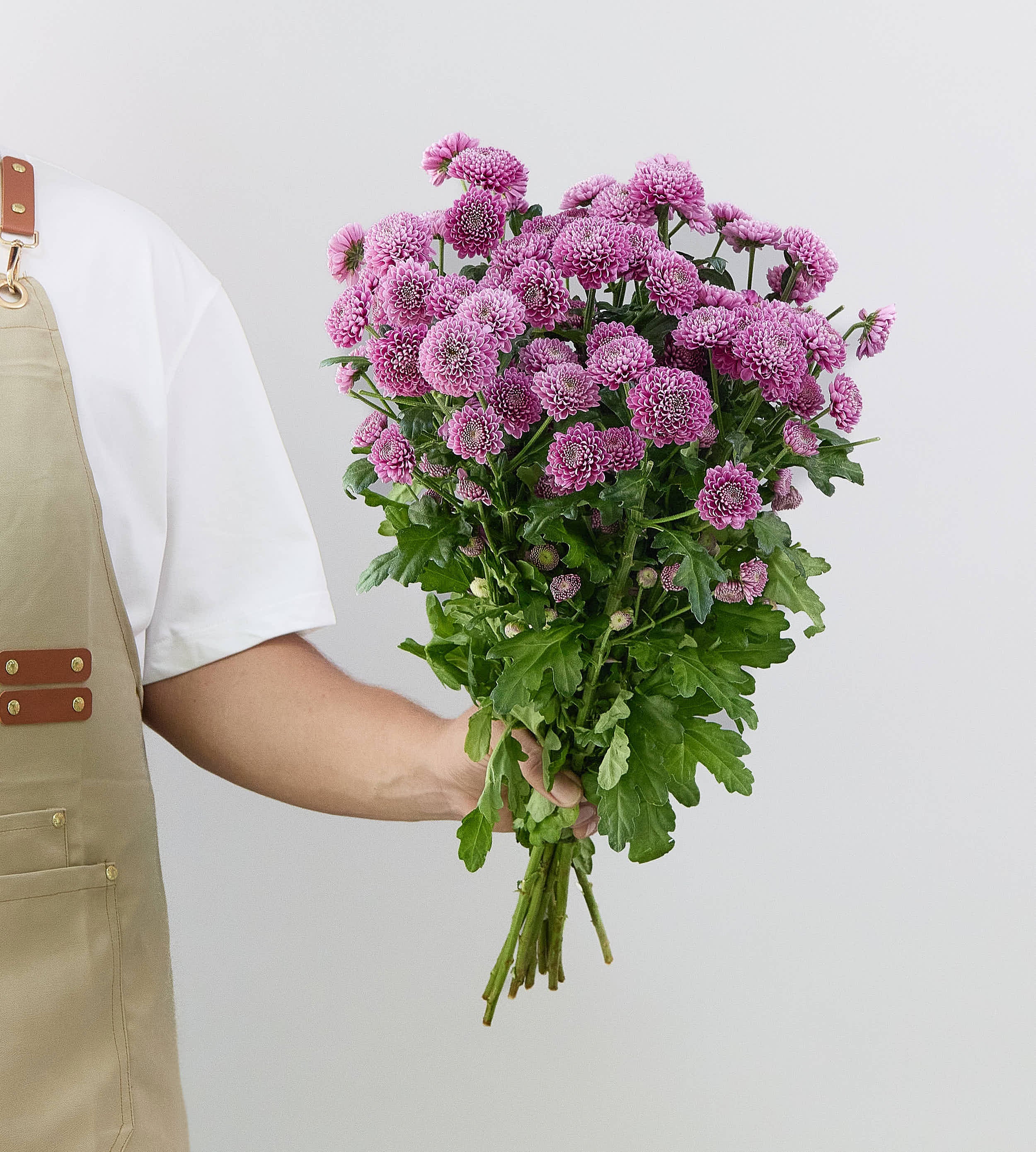 25 Stem Chrysanthemum S Ellison Pink