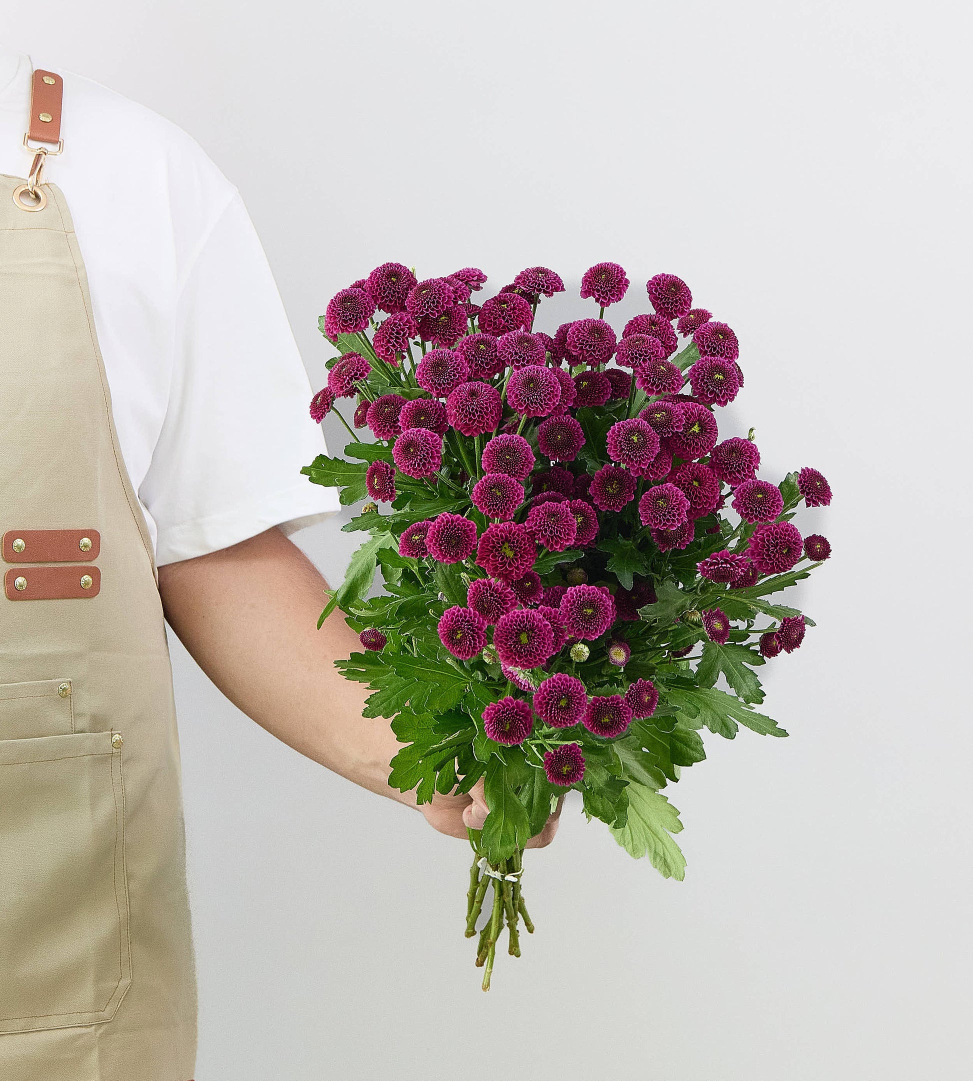 25 Stem Chrysanth Santini Purpetta Purple