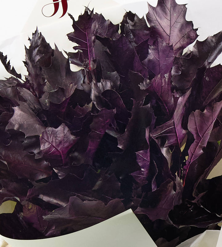 Velours Violet