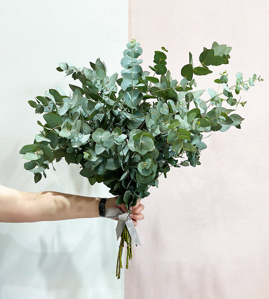 Eucalyptus Bunch