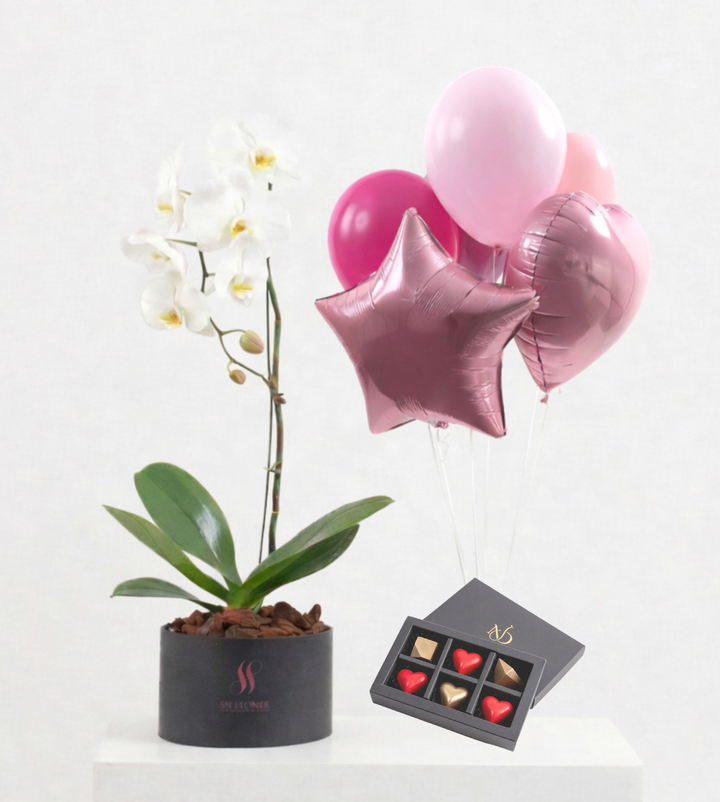 White Orchid Chocolate Bundle