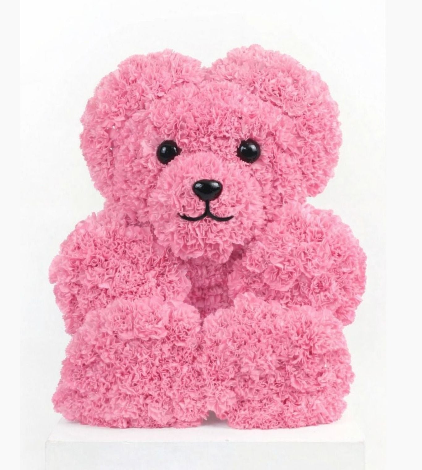 T Bear
