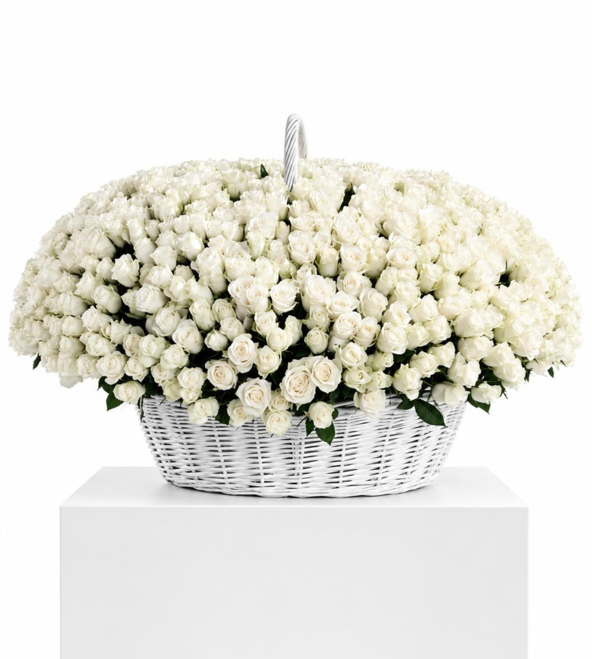 1000 White roses