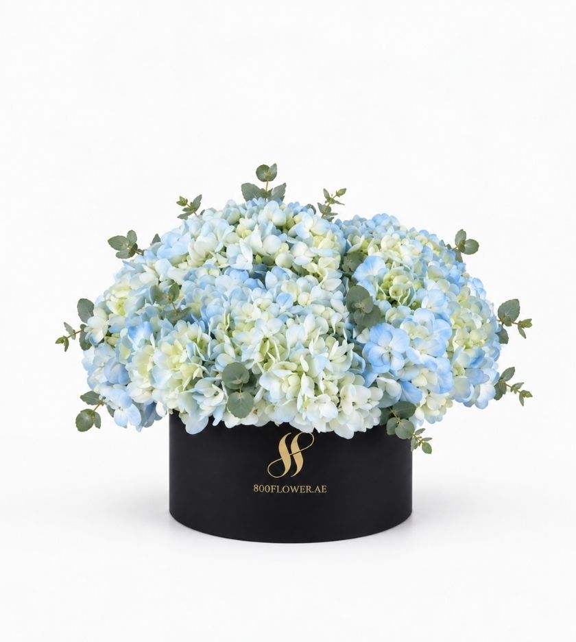 Blue Hydrangea Medium Round Box