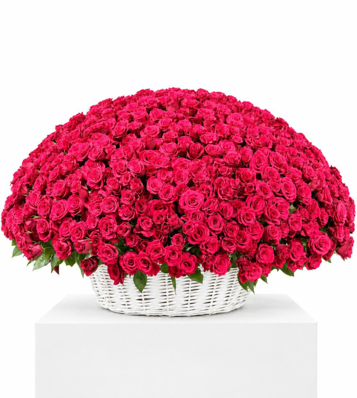 1000 Red roses