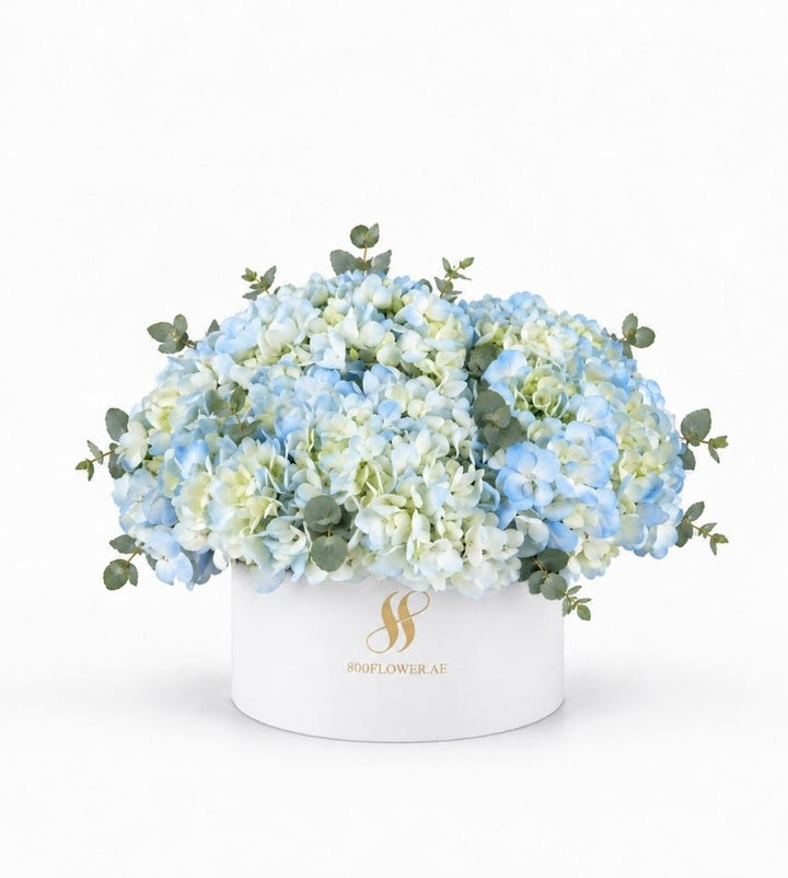 Blue Hydrangea Medium Round Box