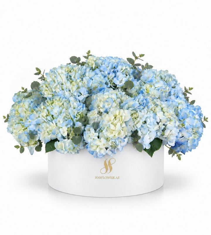 Blue Hydrangea Large Round Box