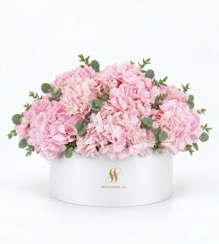 Pink Hydrangea Large Round Box