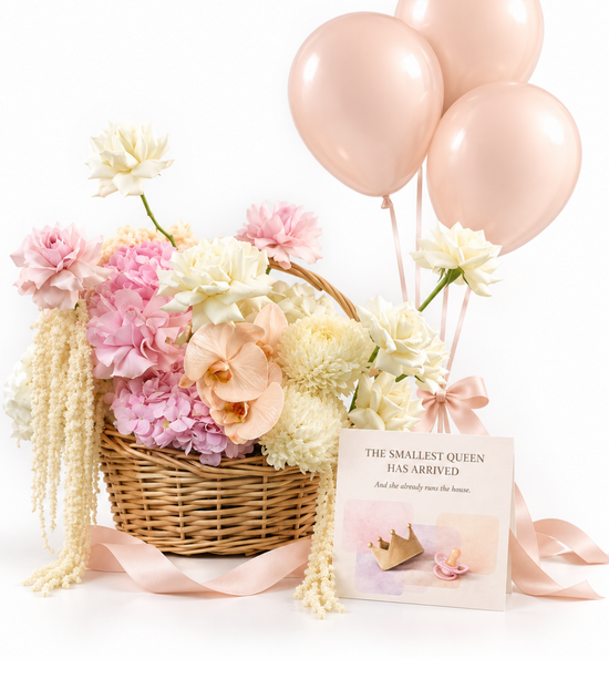 Pink Couture Baby Girl Bundle