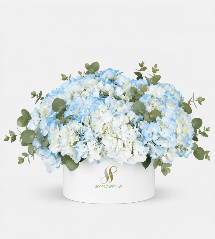 Blue Hydrangea Medium Round Box
