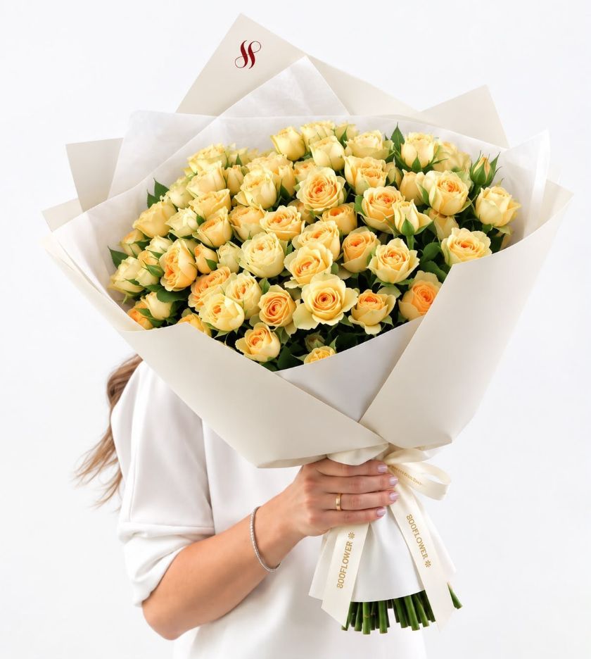 سولي