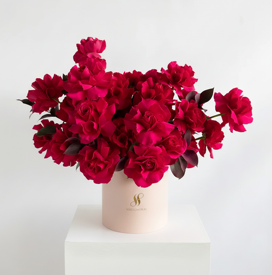 صندوق فيينا