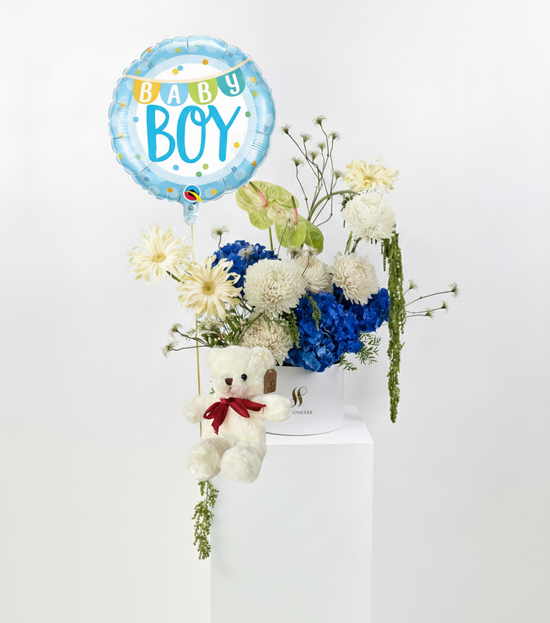 Celestial Drift Baby Boy Bundle