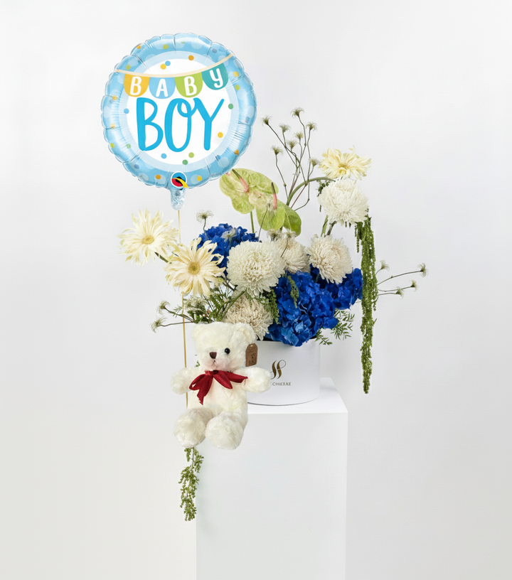 Celestial Drift Baby Boy Bundle
