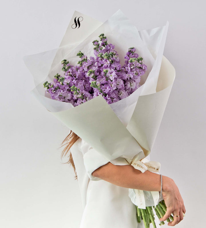 Lilac Whisper