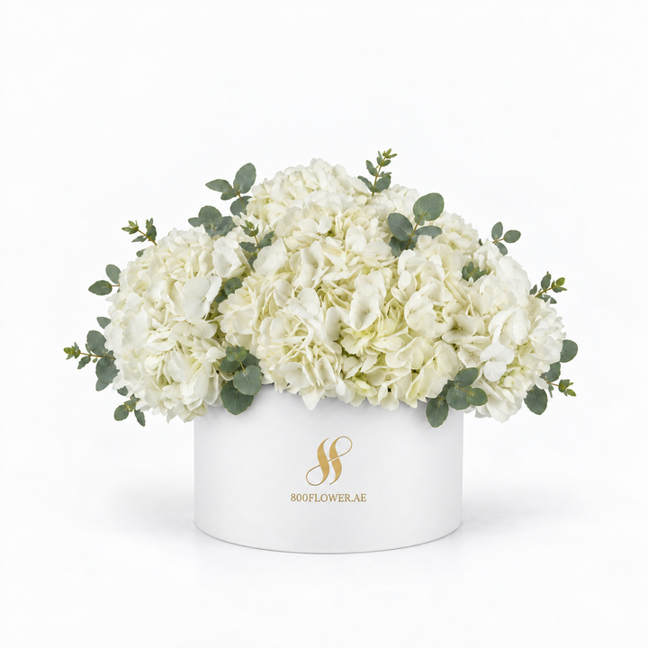 White Hydrangea Medium Round Box